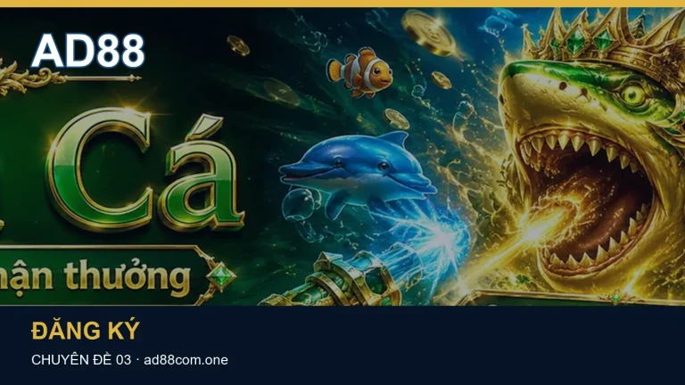 Những nhầm lẫn thường gặp trong chủ đề Đường dẫn truy cập – đối chiếu thanh địa chỉ và chuyển hướng